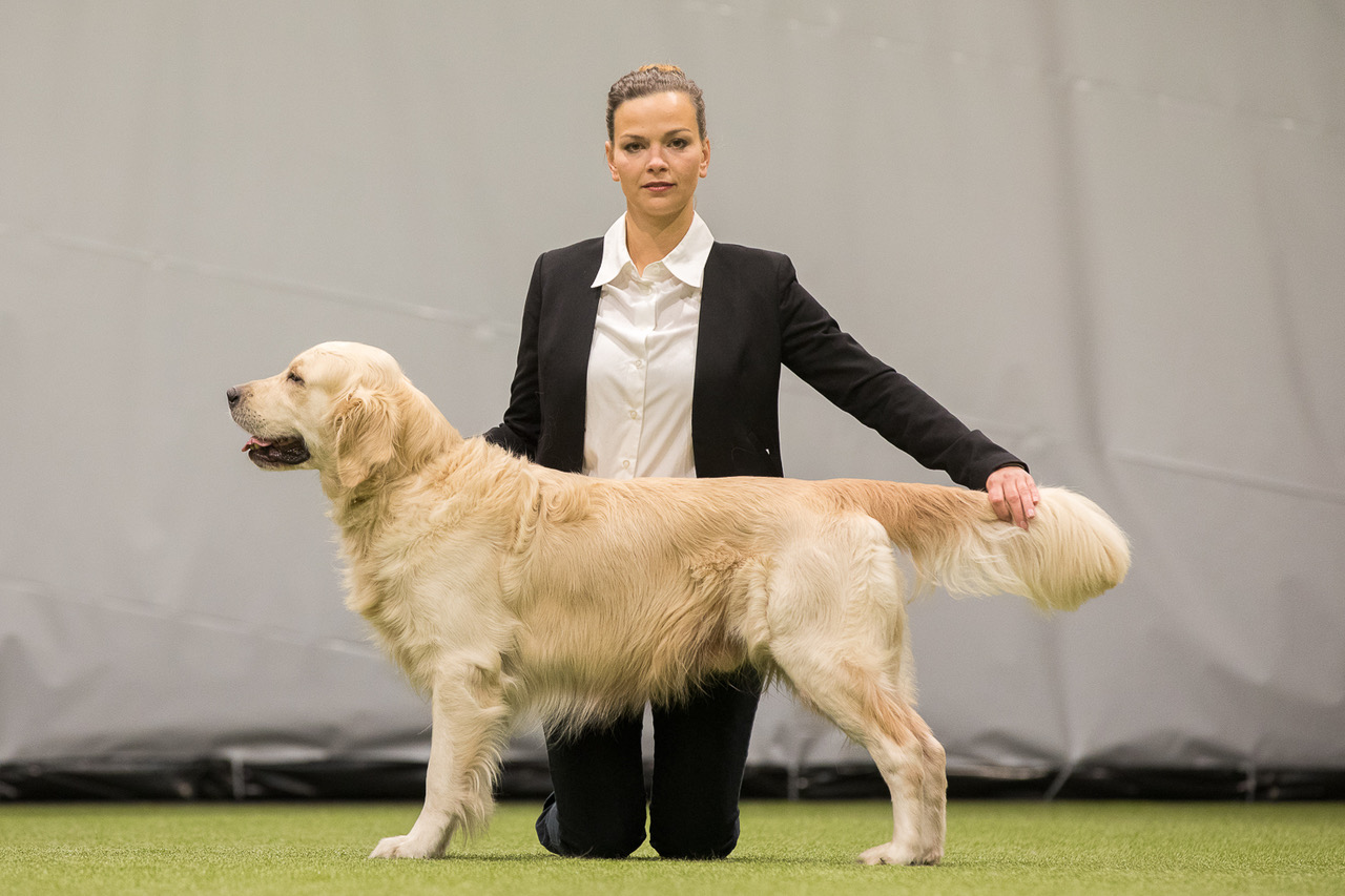 Showtraining mit Stephie Michel