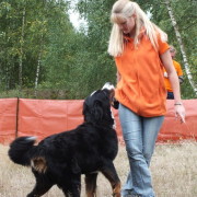 Dogdance Seminar