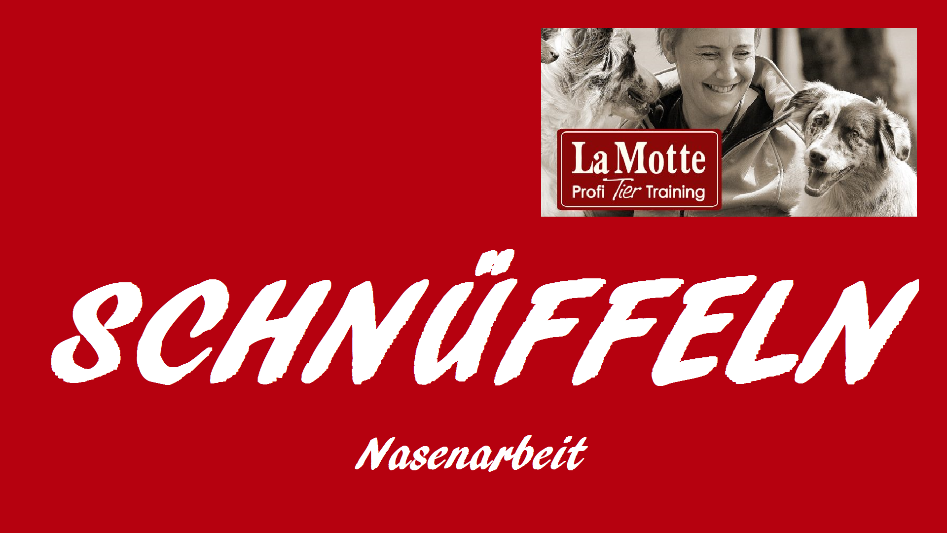 Schnüffel Workshop (3-teilig) mit Stephanie Harms