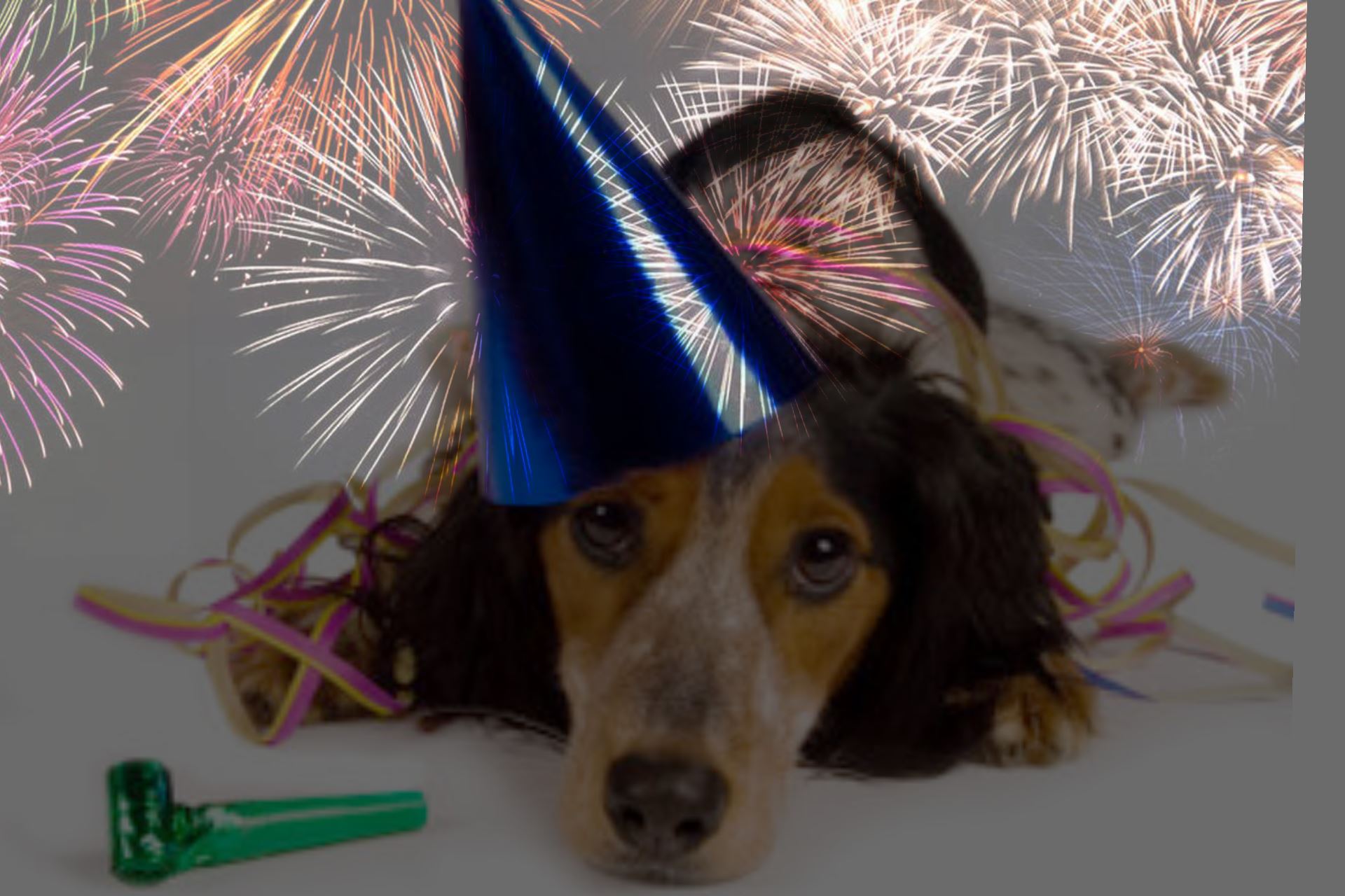 Vortrag Silvester - Gut vorbereitet in den Jahreswechsel mit Stephanie La Motte