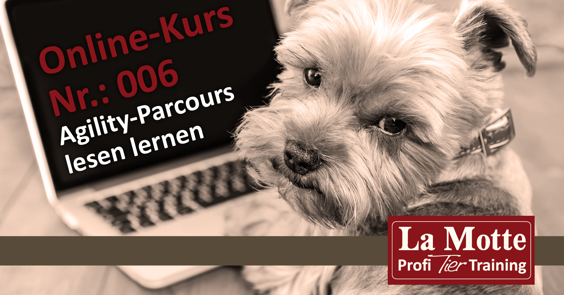 Online-Kurs-Nr.: 006 Agility-Parcours lesen lernen