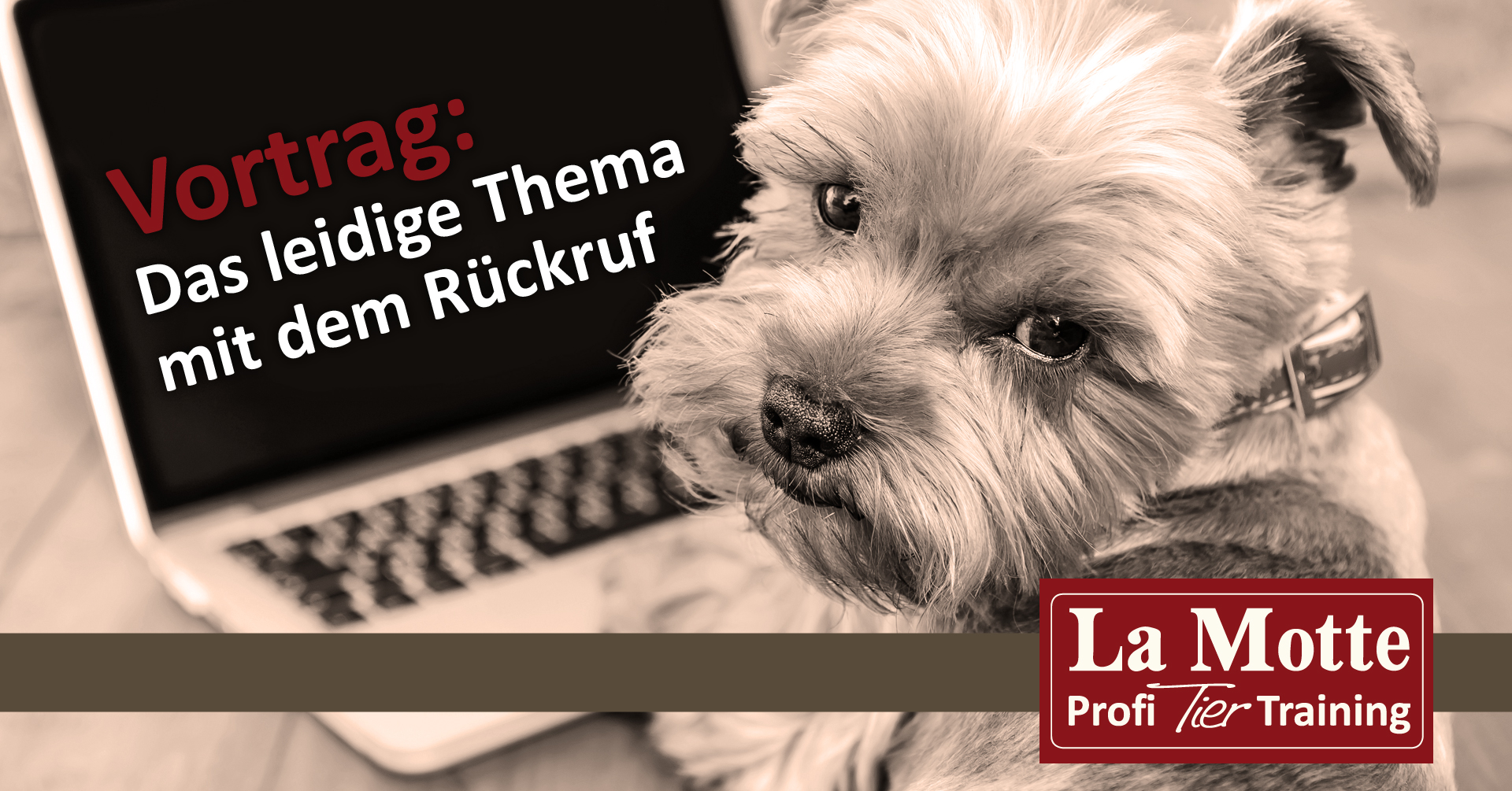 Vortrag LIVE: Das leidige Thema mit dem Rückruf