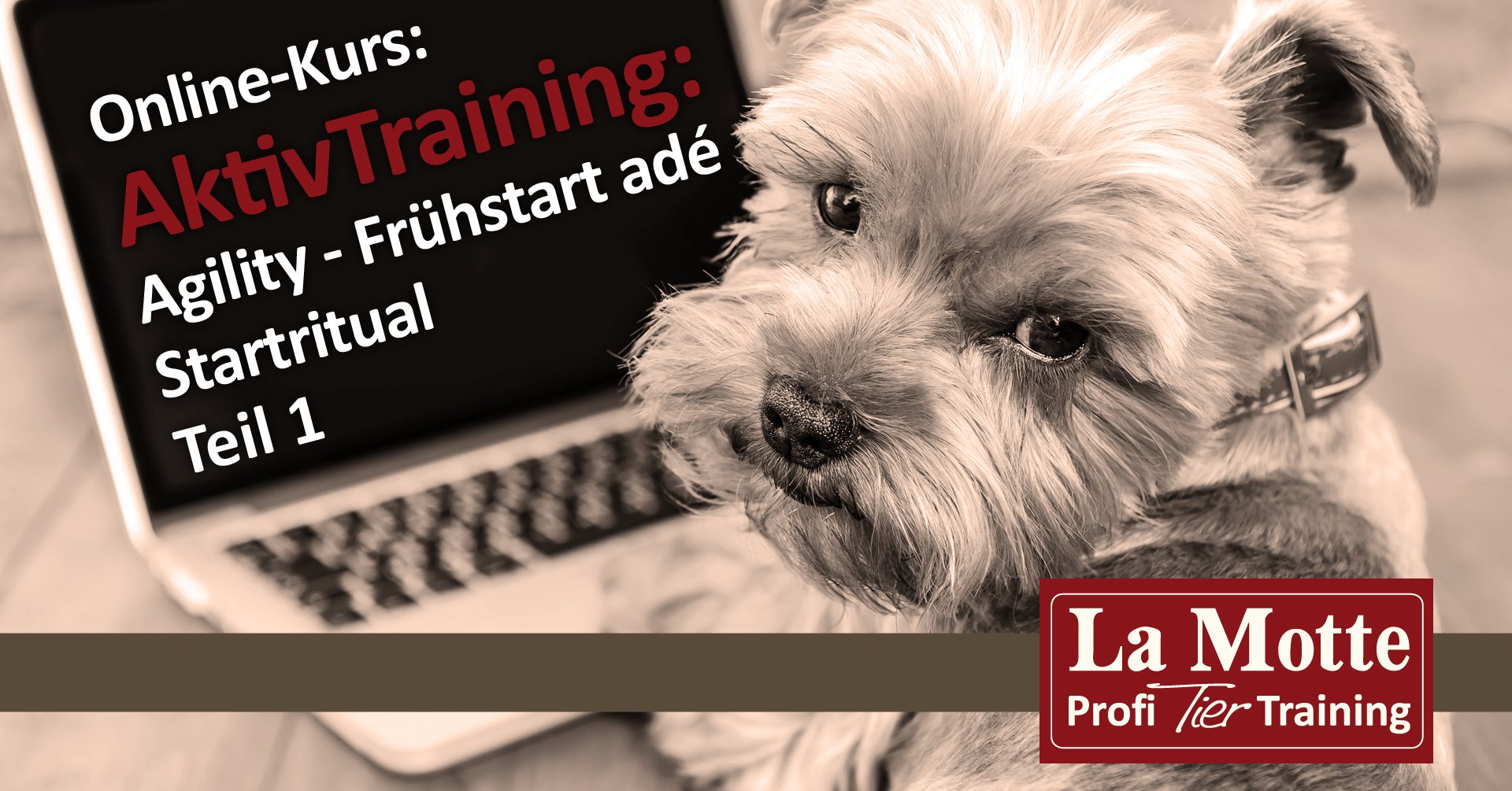 AktivTraining: Agility - Frühstart adé Startritual Teil 1