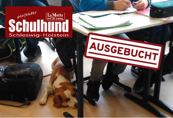 Schulhund IX Modul 6 - ausgebucht