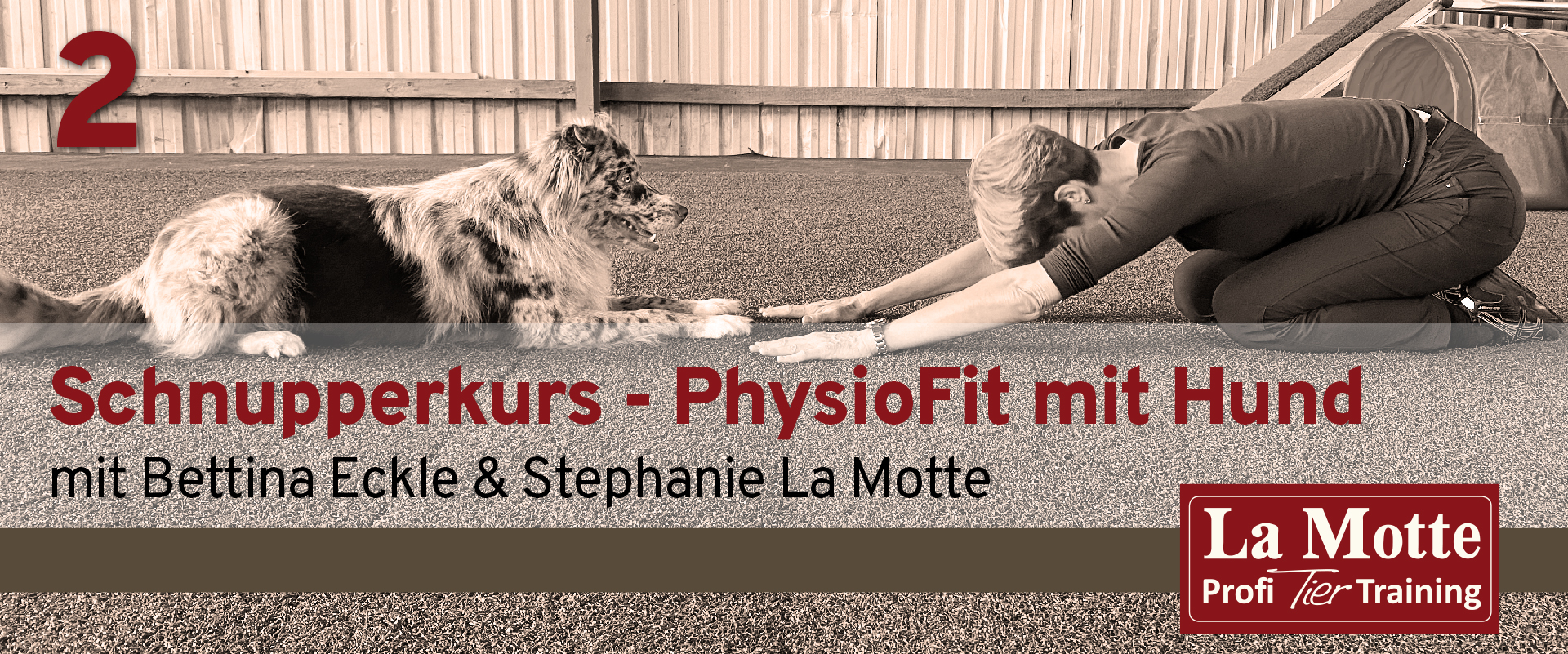 Schnupperkurs - PhysioFit mit Hund mit Bettina Eckle & Stephanie La Motte - Teil 2