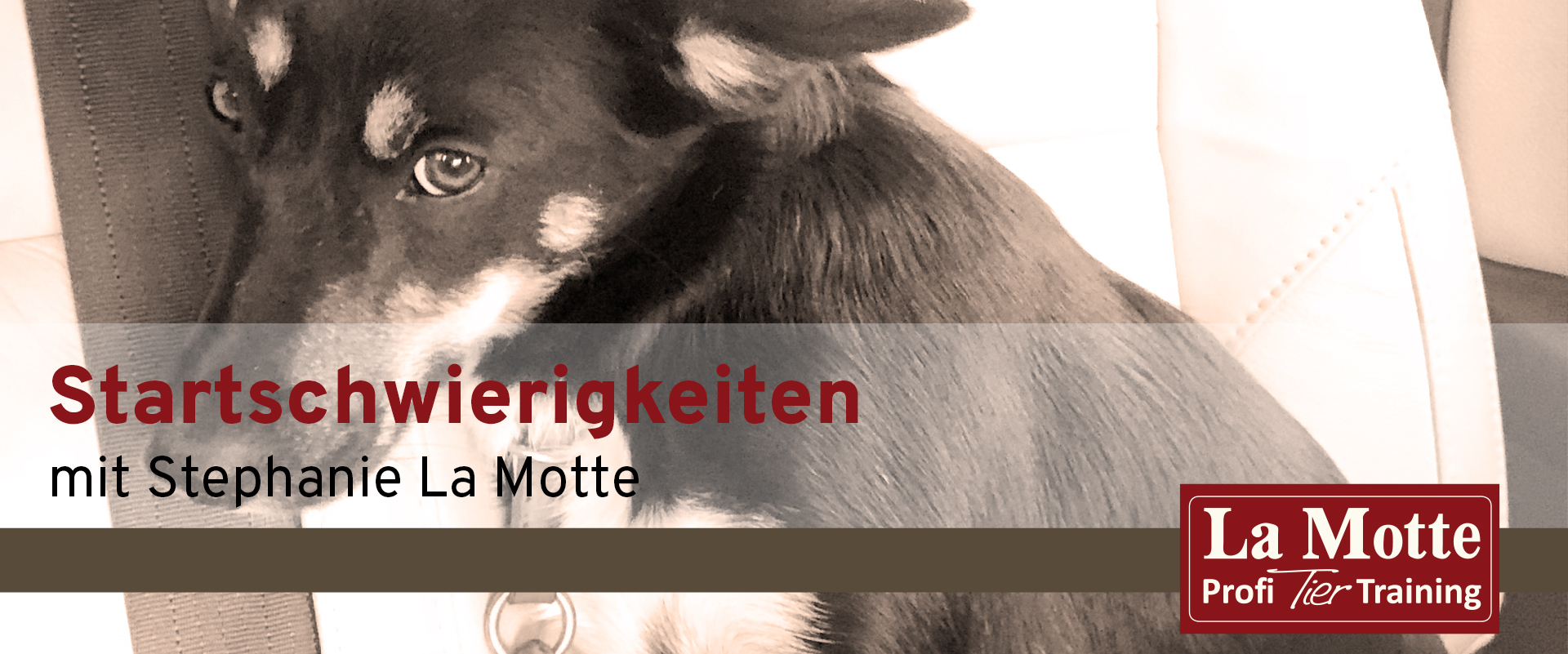 Startschwierigkeiten mit Stephanie La Motte