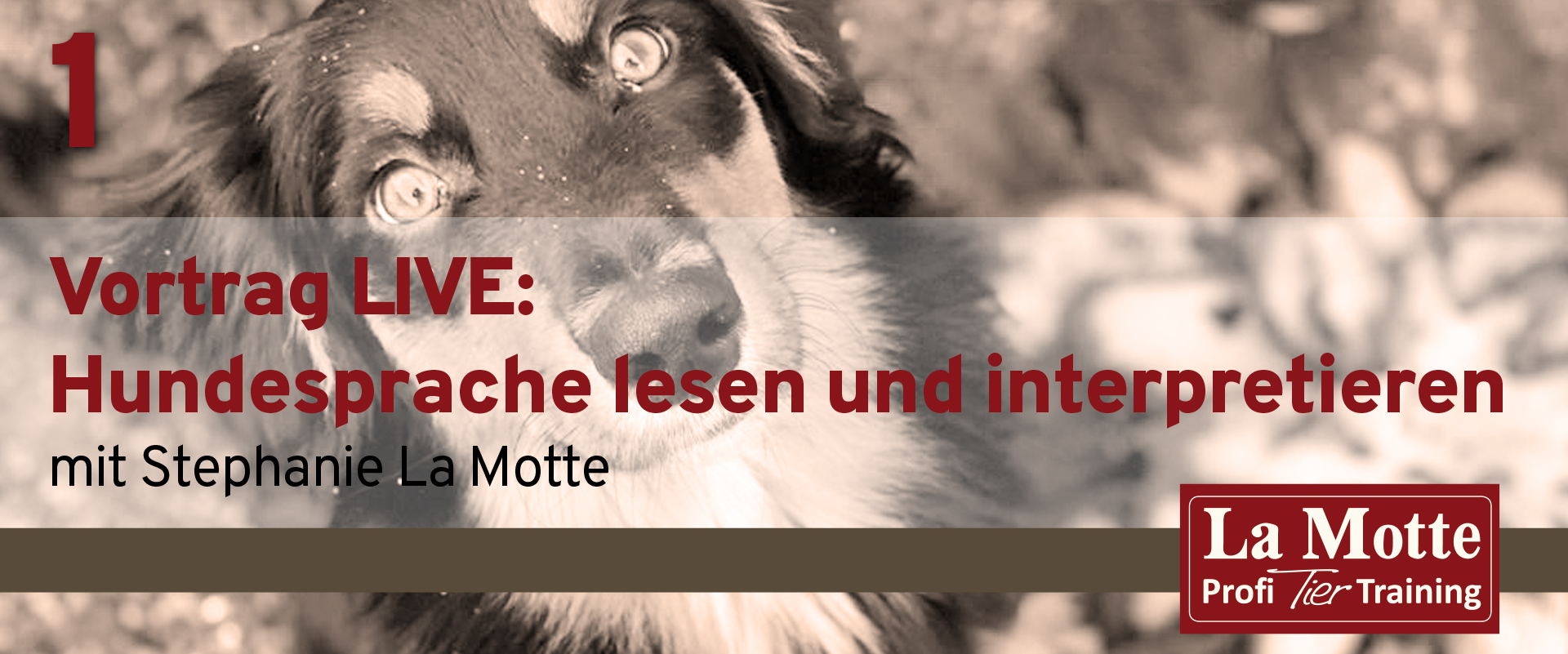 Vortrag LIVE: Hundesprache lesen und interpretieren Teil 1